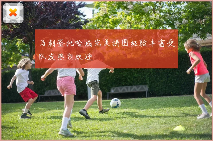 马刺签托哈成完美拼图经验丰富受队友热烈欢迎
